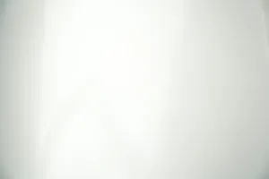 pro-pic